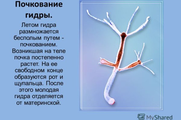 Кракен что можно купить