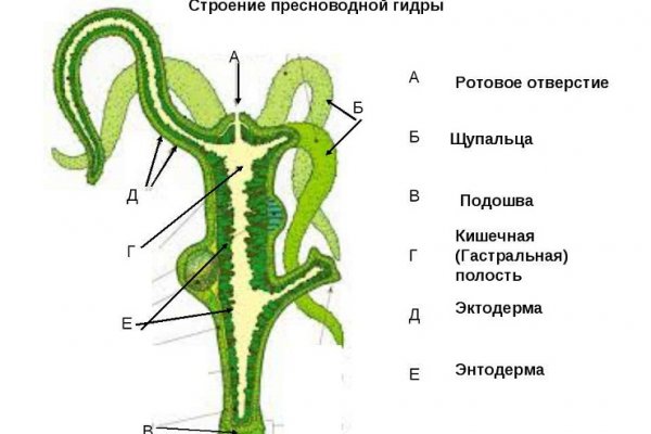 Ссылки на даркнет сайты
