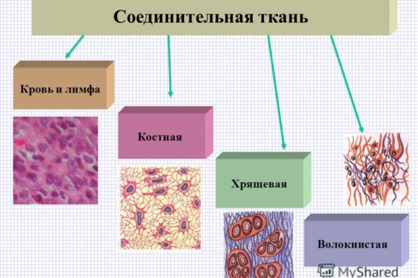 Как найти актуальную ссылку на кракен