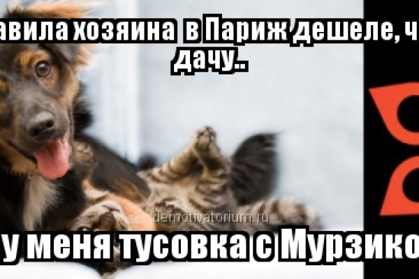 Что такое кракен сайт