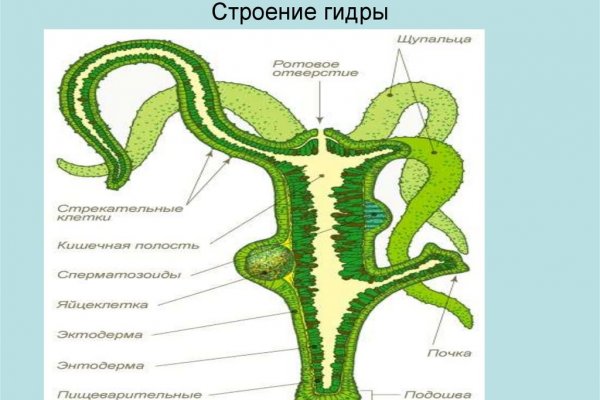Кракен сайт биз