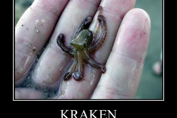 Кракен зеркало орион