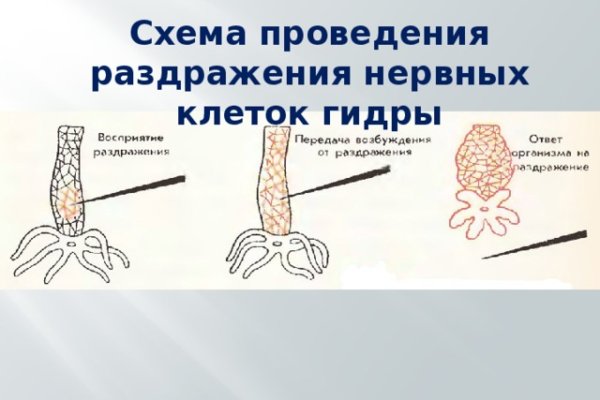 Рабочее зеркало кракен