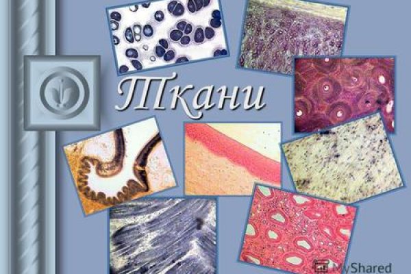 Ссылка на кракен тор магазин