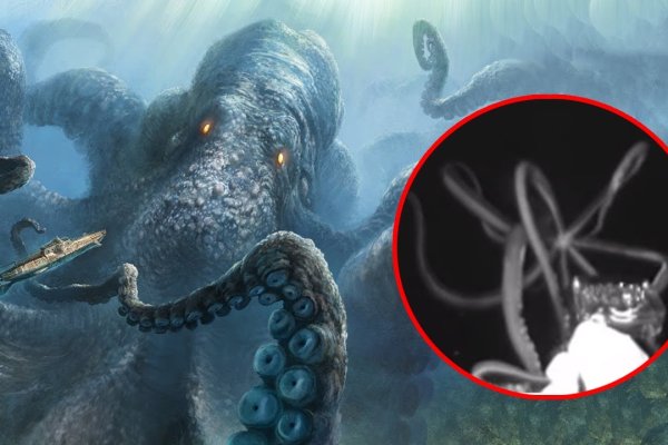 Kraken ссылка kraken clear com