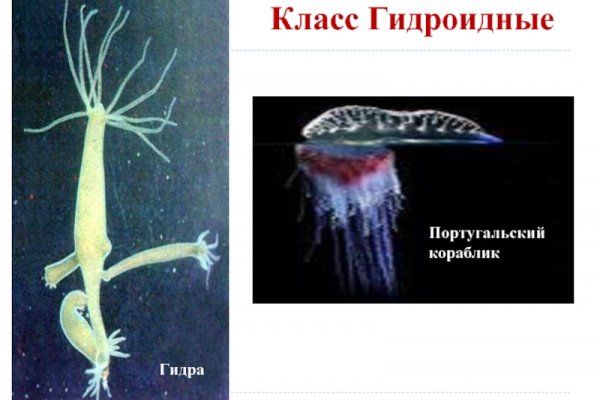 Магазин веществ кракен