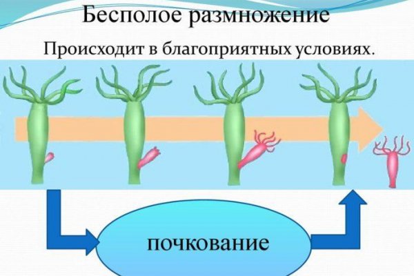 Кракен лучший маркетплейс